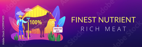 Organic agriculture industry. Eco farming, cattle breeding business. Grass fed beef, grass-finished beef, finest nutrient rich meat concept. Header or footer banner template with copy space.
