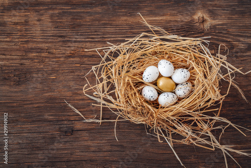 Bird nest with eggs and one golden egg, metamorphing for leadership and being unique
