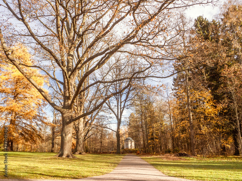 A footpath leading to a gazebo in a park in Helsinki, Finland, golden moment in the autumn nature photo