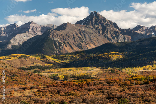 Autumn Aspen Color