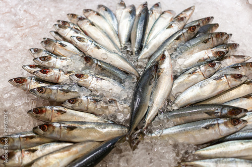Top view of fresh mackerel or saba on ice for sale in the fish market at Thailand