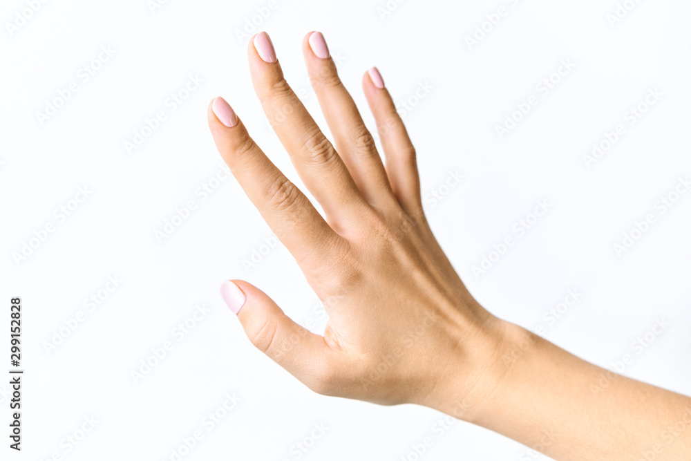 Beautiful female hands. With gently pink manicure. Isolated on a white background