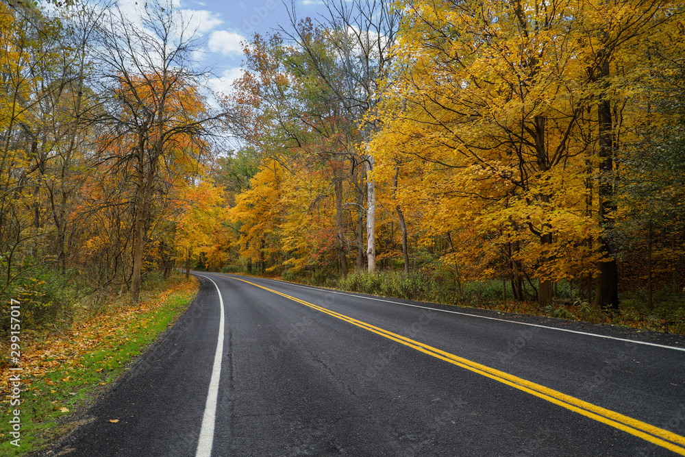 road in autumn