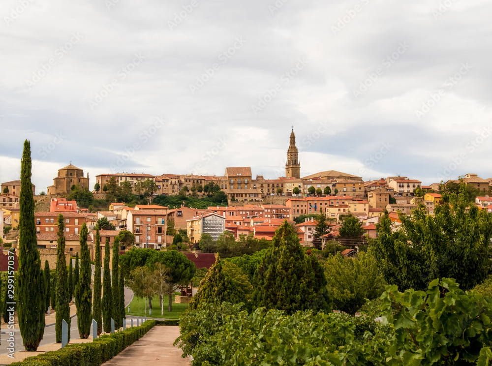 Panoramic view of Briones, La Rioja, Spain