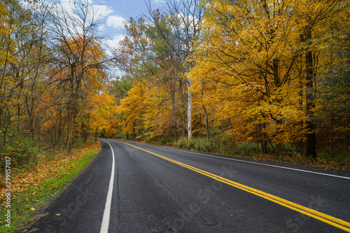 road in autumn