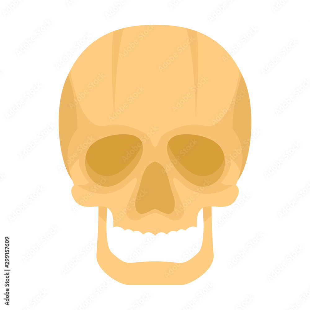 Skull icon in flat style