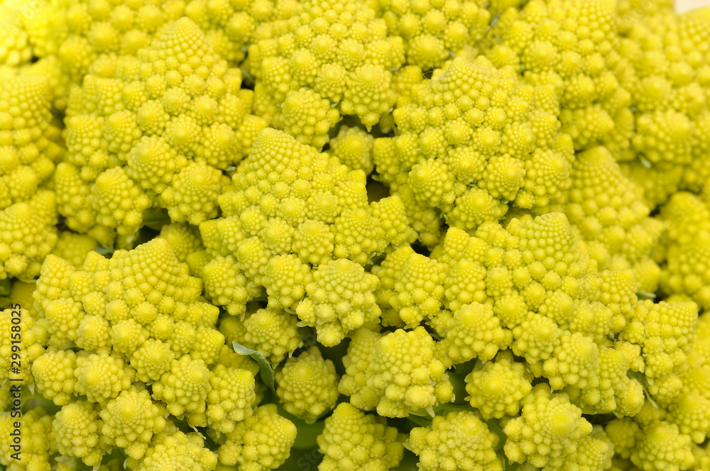 Broccoli Romanesco - Broccoli Nutrient Varieties Broccoli Romanesco - Broccoli Nutrient Varieties