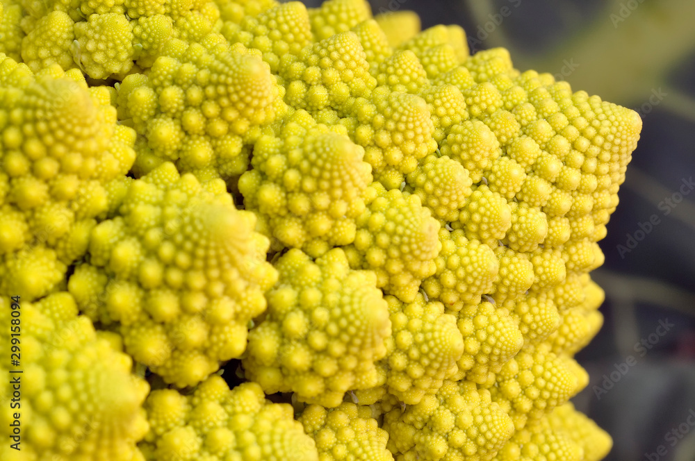 Broccoli Romanesco - Broccoli Nutrient Varieties Broccoli Romanesco - Broccoli Nutrient Varieties