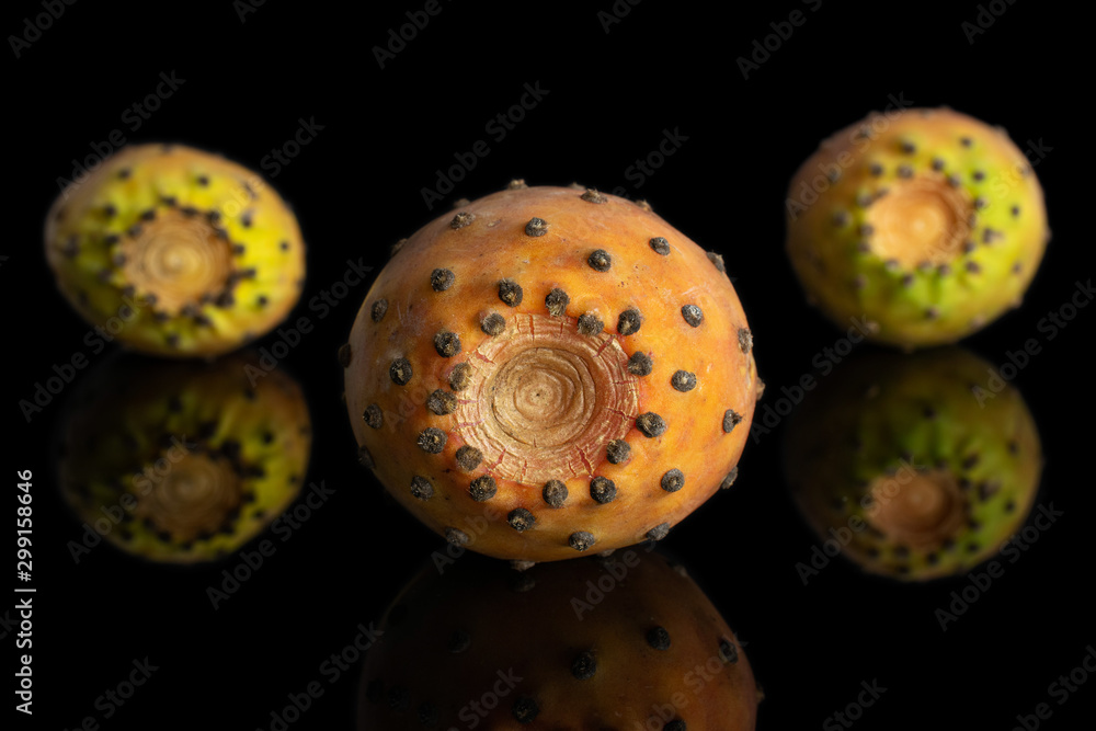 Group of three whole fresh orange opuntia isolated on black glass Group of three whole fresh orange opuntia isolated on black glass