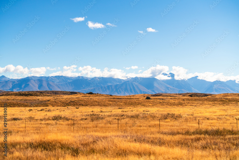 Beautiful scenic view of along roadside in south island of New Zealand which have golden grass and blue clear sky, the roadside tour is the good experience for tourist to travel in New Zealand.