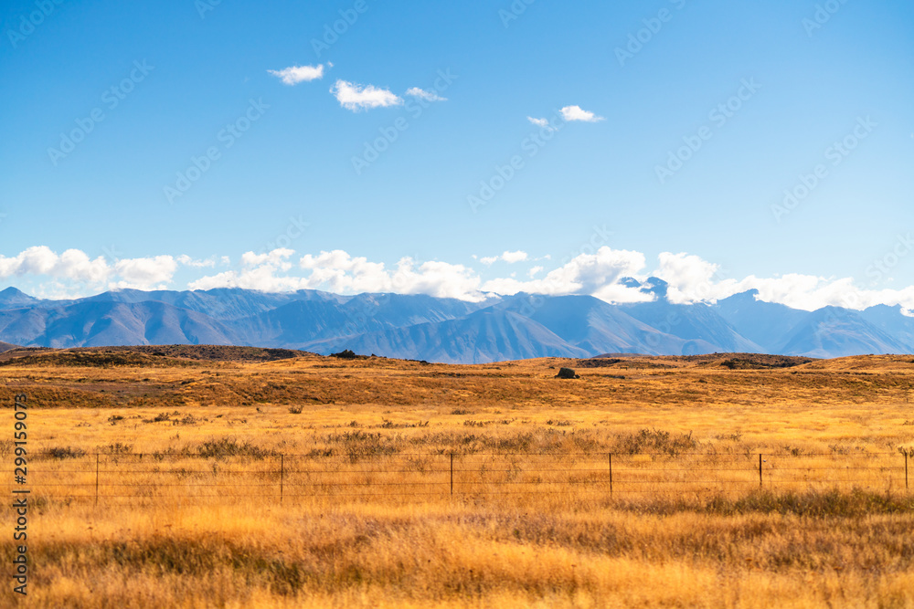 Beautiful scenic view of along roadside in south island of New Zealand which have golden grass and blue clear sky, the roadside tour is the good experience for tourist to travel in New Zealand. Beautiful scenic view of along roadside in south island of New Zealand which have golden grass and blue clear sky, the roadside tour is the good experience for tourist to travel in New Zealand.