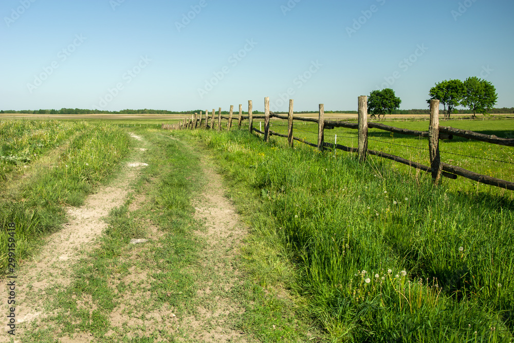 Road and wooden fence on a green meadow, trees and clear sky
