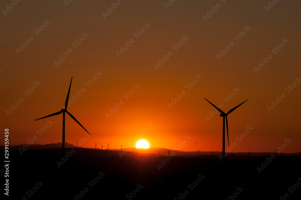 windmill field at sunset - spain