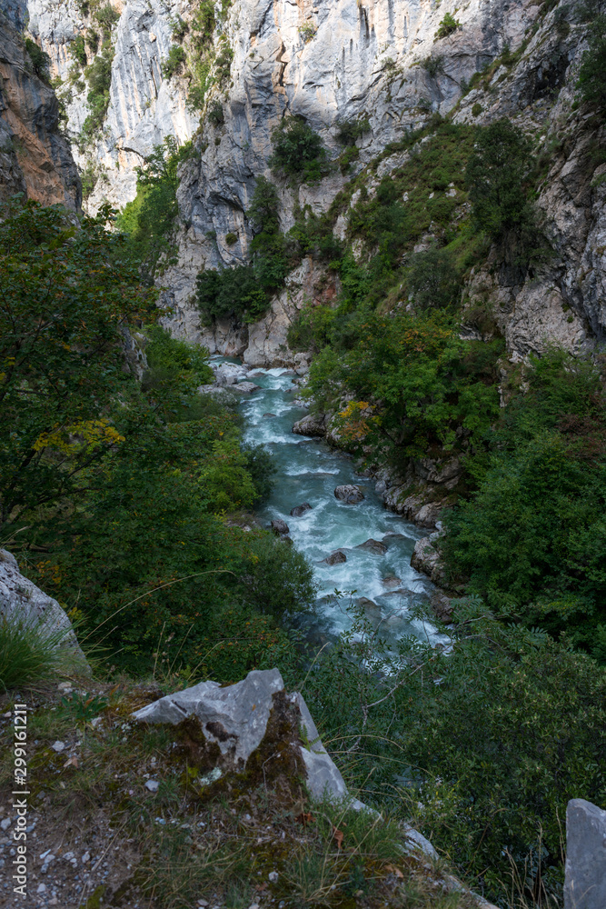 Valley with the passage of the river Cares in the Picos de Europa
