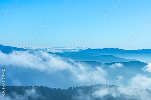 Scenic view from Clingmans dome  Great Smoky Mountain Nation Park   Tennessee USA