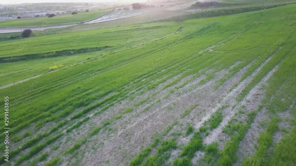 AERIAL DRONE SHOT OF GREEN FIELD AERIAL DRONE SHOT OF GREEN FIELD