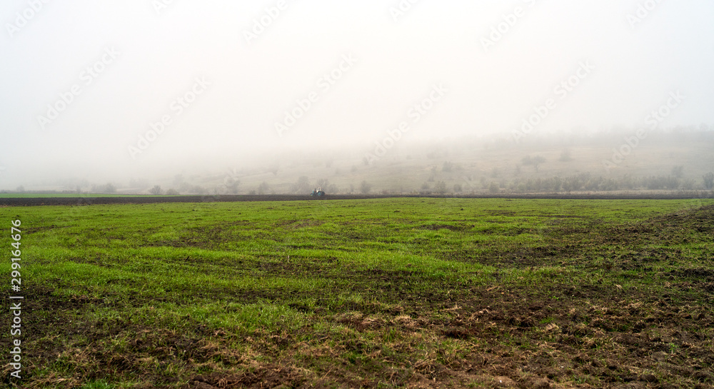 field in foggy haze, rural landscape
