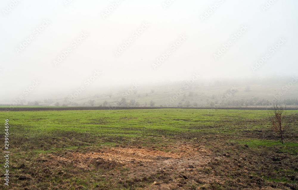 field in foggy haze, rural landscape field in foggy haze, rural landscape