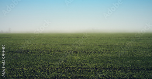 field in foggy haze  rural landscape