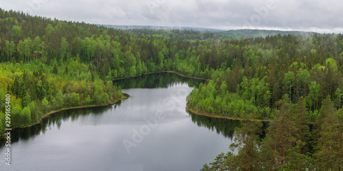 Forest lake shore landscape . Summer forest lake shore panorama. Forest lake shore view