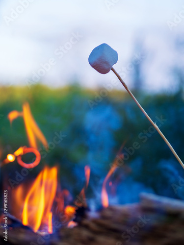Marshmallow on skewers is fried at the stake.. © Andrey