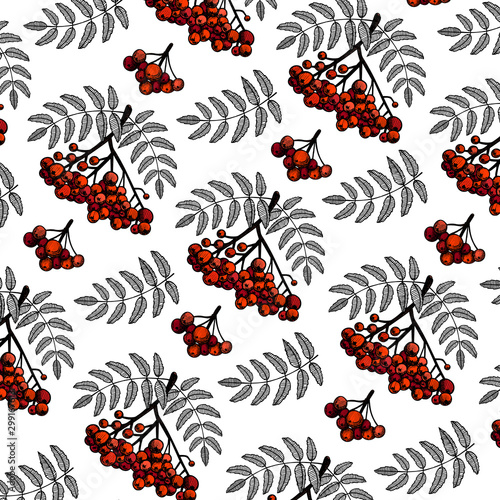 Hand drawn pattern of rowanberry branch with leaves and berries.  Autumn design. Red forest berries. For design textiles, fabric, packaging, paper, surface decoration, background.