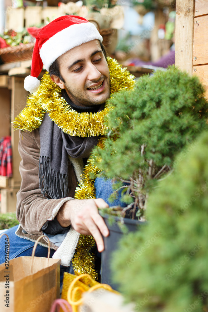 Young man choosing small Christmas tree at Christmas market