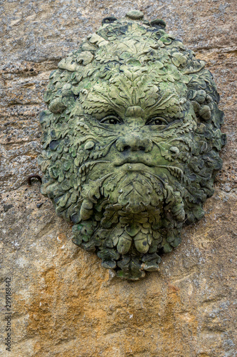 Green Man Face