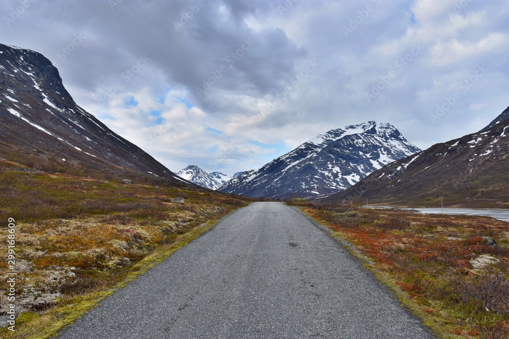 Road in Mountains - Jotunheimen National Park