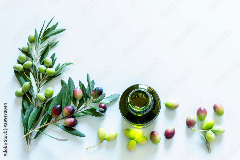  Olive branch and olive oil on light background. Ripe colorful dark and green olives on a branch. Copy space.