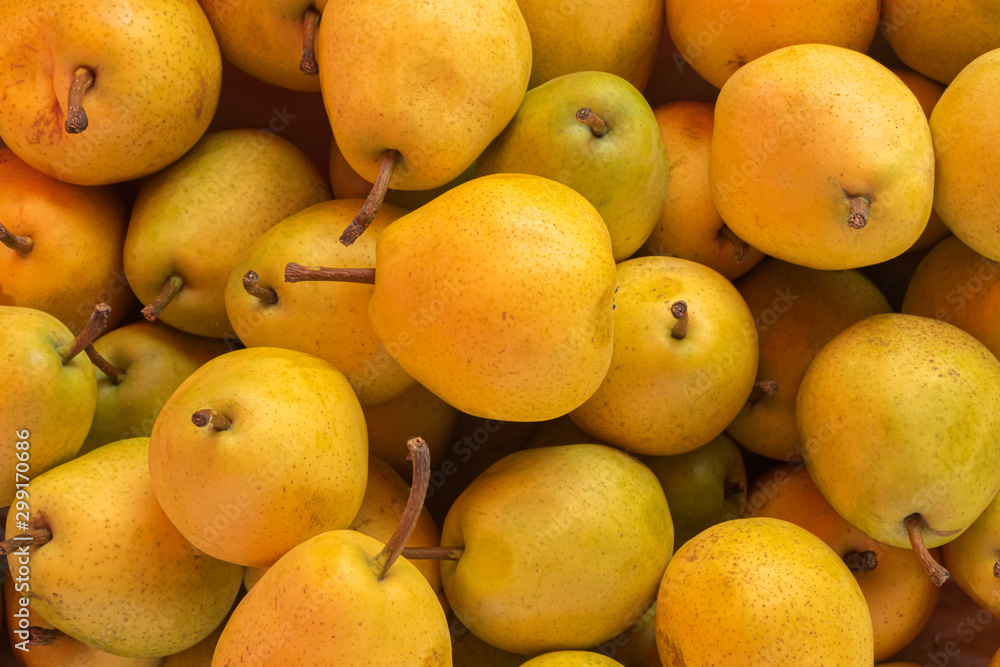 Yellow ripe pears lined up for sale in a supermarket Yellow ripe pears lined up for sale in a supermarket