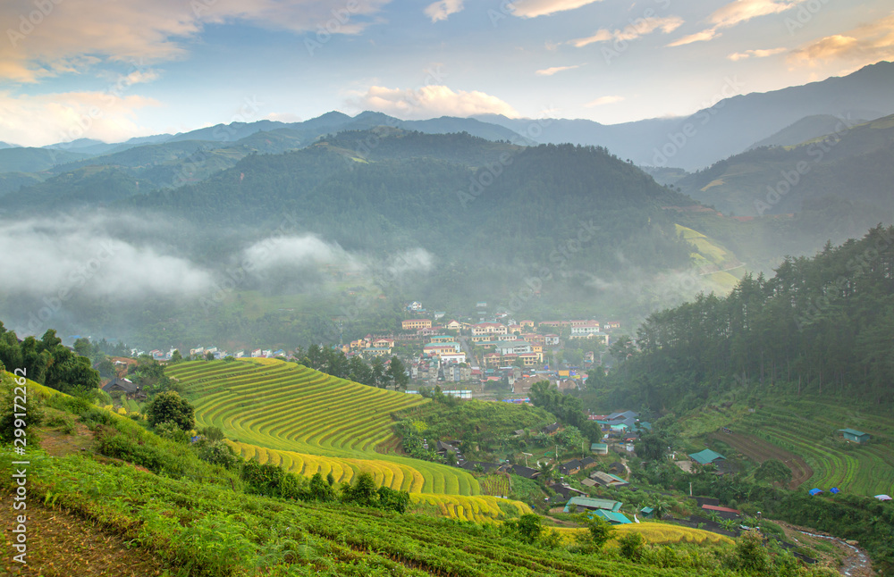 Terraced rice field in rice season in Vietnam ,sapa Terraced rice field in rice season in Vietnam ,sapa