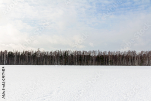 snowy field