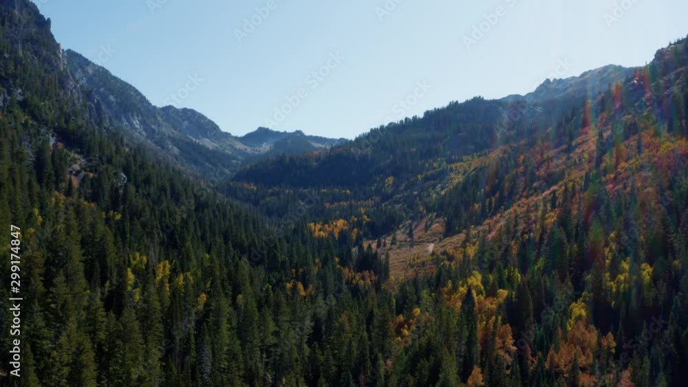 Beautiful aerial view of vibrant fall colors and green pine trees in Big Cottonwood Canyon in the Rocky Mountains of Utah Beautiful aerial view of vibrant fall colors and green pine trees in Big Cottonwood Canyon in the Rocky Mountains of Utah