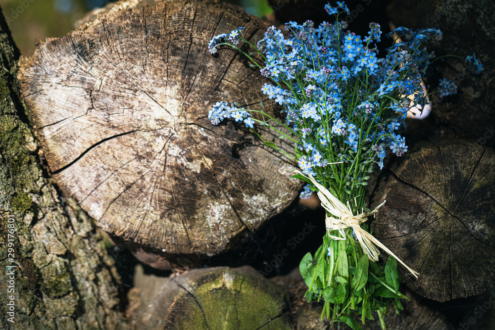 Fototapeta premium Beautiful bouquet of field forget-me-nots on logs with copy space, top view