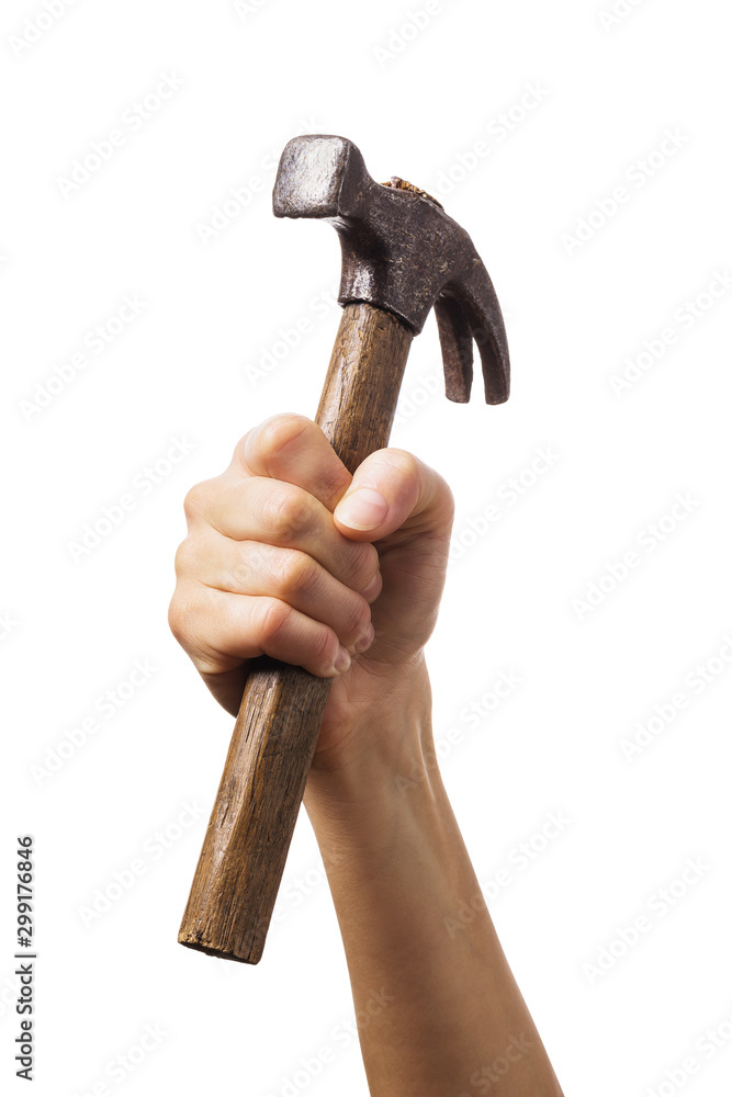 Fotografie, Obraz Hand raised up holds hammer isolated on white background