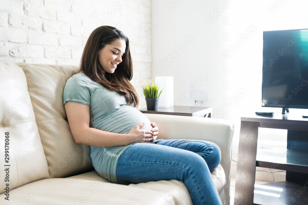 Attractive Expectant Woman Relaxing On Sofa In Living Room Attractive Expectant Woman Relaxing On Sofa In Living Room