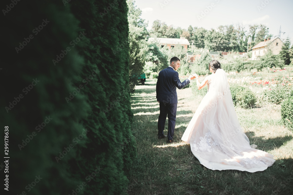 Romantic, fairytale, happy newlywed couple hugging and kissing in a park, trees in background Romantic, fairytale, happy newlywed couple hugging and kissing in a park, trees in background