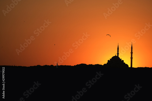 Istanbul City Silhouette Mosque at Afternoon