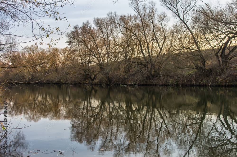 Obraz premium A small river in the southeast of the Moscow region. Autumn landscape