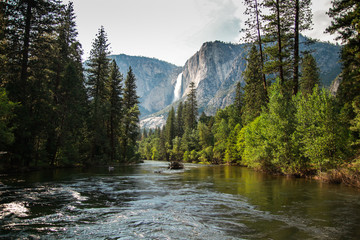 Wandcirkels Olijfgroen Yosemite Falls boven Merced rivier  © Anastassiya