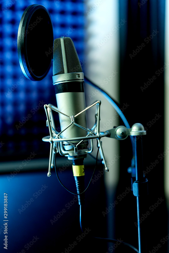 Close up studio condenser microphone with pop filter and anti-vibration  mount live recording with color lights background. Side view Stock Photo |  Adobe Stock
