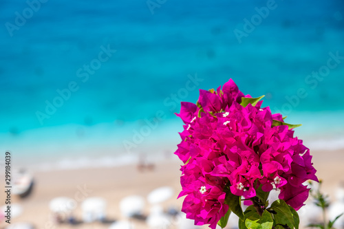 Turquoise tropical beach appearing behind bougainvillea flowers. Kaputas Beach , located in Antalya , Turkey © Haluk