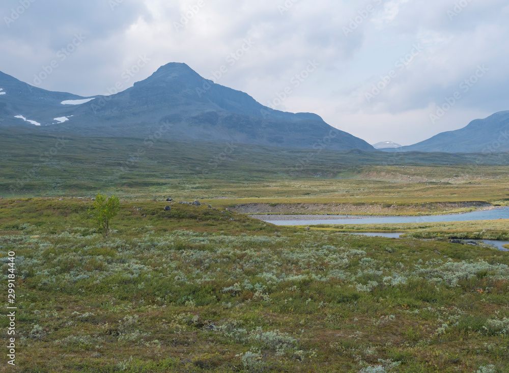 Beautiful wild Lapland nature landscape with blue glacial river, birch tree bushes, snow capped mountains Northern Sweden summer at Kungsleden hiking trail. Summer day, blue sky.