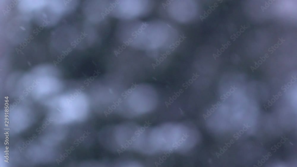 Winter Snowstorm with Blurry Forest Background.