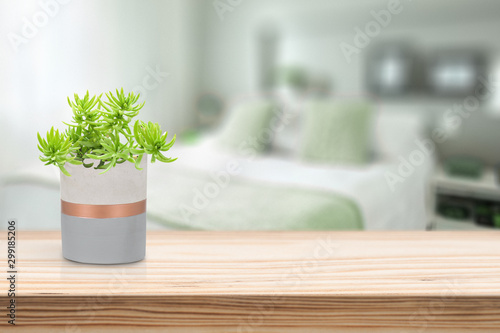 Cement Vase with Suculenton vase pot on table