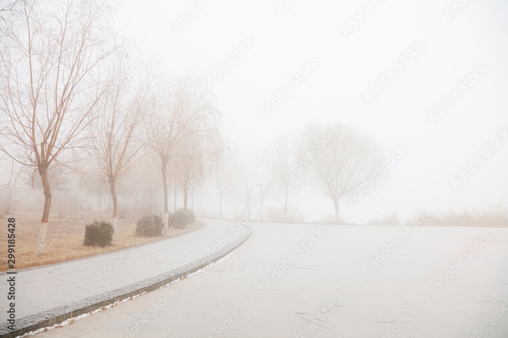 Obraz premium Natural scenery in winter