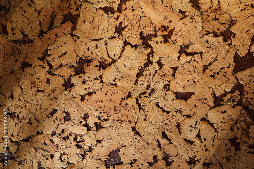 Texture of decoration material cork closeup