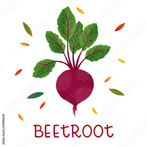 Isolated beetroot with haulm on a white background.Seasonal farm product.Healthy nutrition.Agricultural fair.Harvest season.Vector illustration.