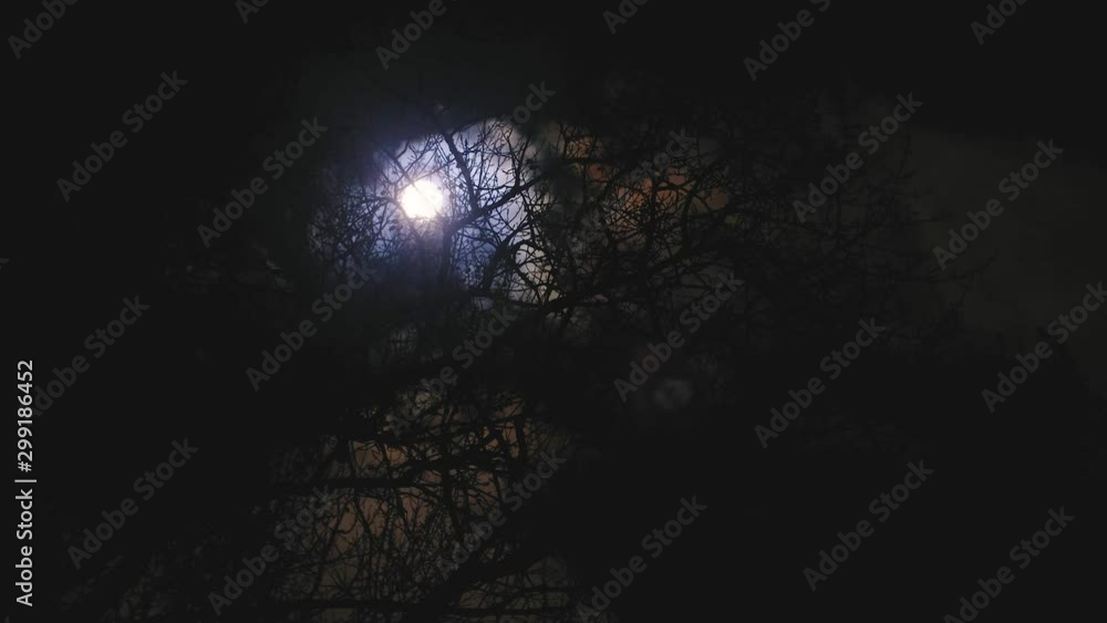 Dark clouds passing glowing full blue moon at night with creepy old wicked braches in the foreground. Dark clouds passing glowing full blue moon at night with creepy old wicked braches in the foreground.